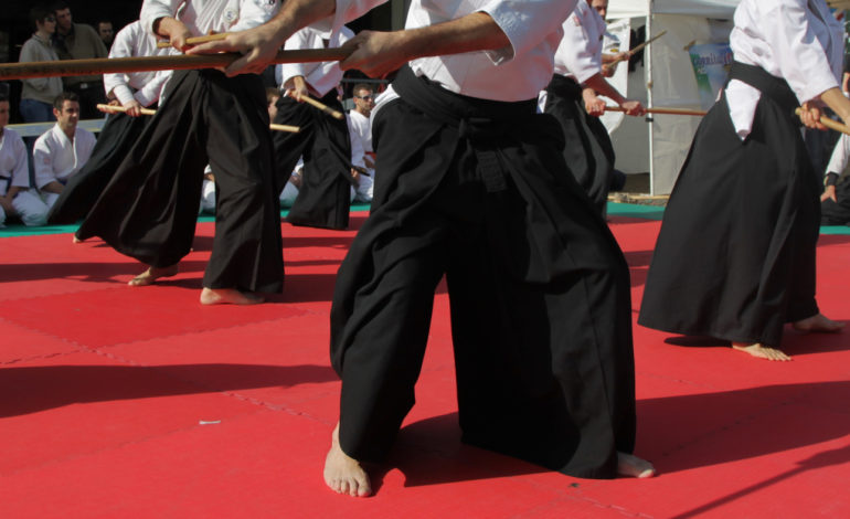 Corso Nazionale per istruttori di Aikido