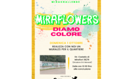 Miraflowers diamo colore, ultimo evento del progetto Mirachellenge!